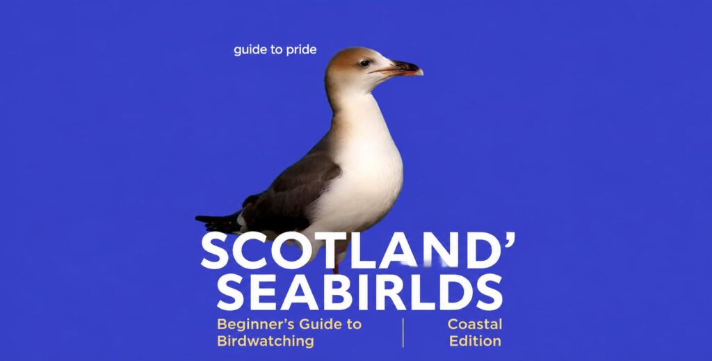 Scotland's Rarest Seabirds: 