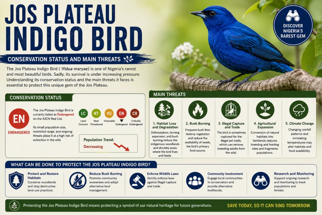 Conservation Status and Main Threats