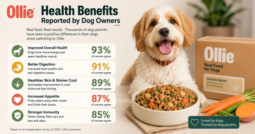 Health Benefits Reported by Dog Owners