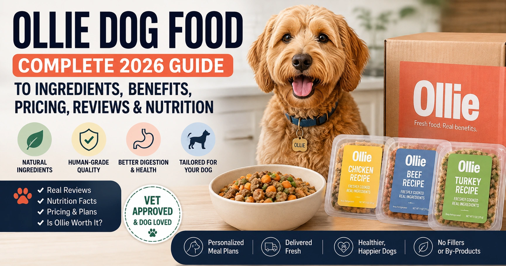 Ollie Dog Food Guide with Happy Pup