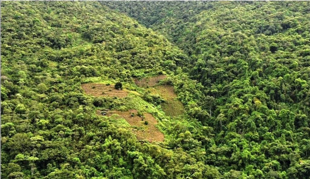 Conservation Challenges