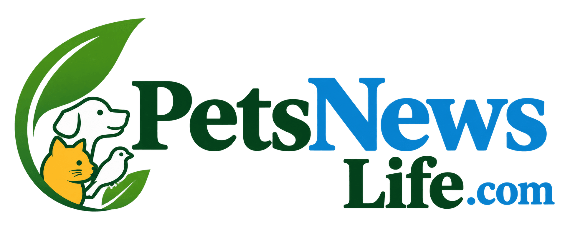 life.com