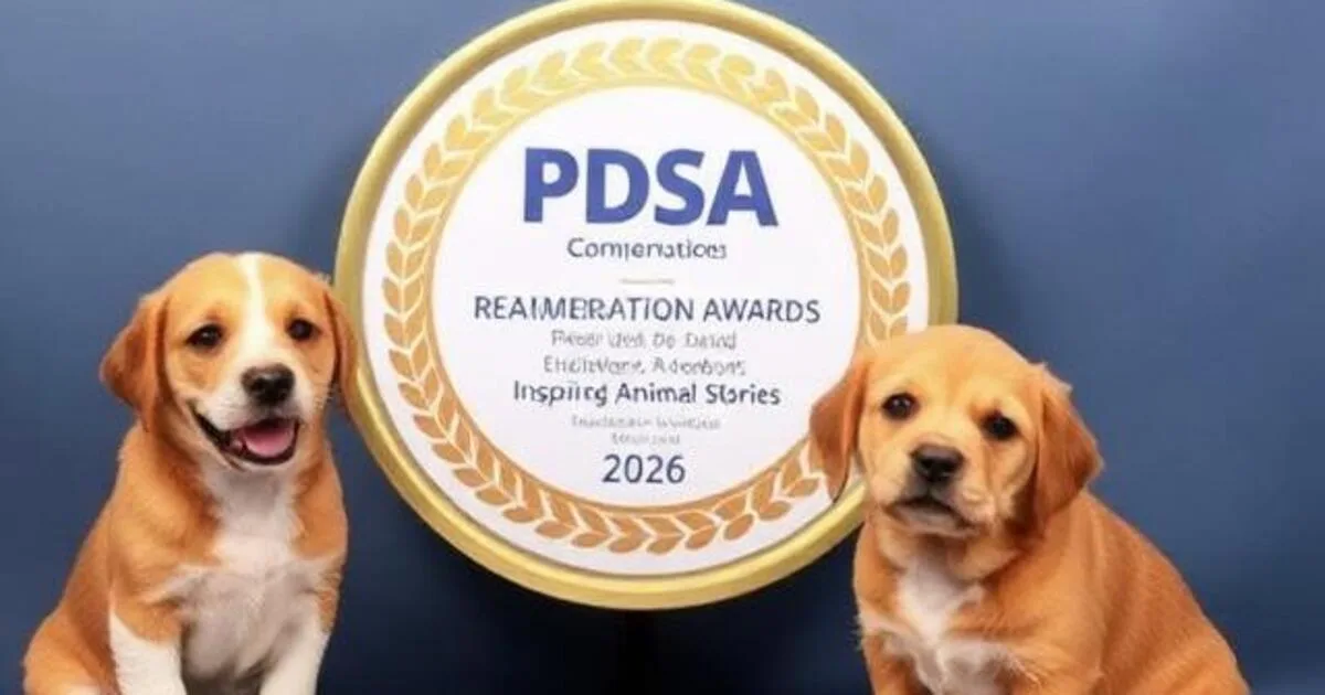 PDSA Commendation Award