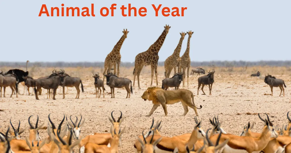 Animal of the Year: Beginner's Guide and Past Winners 9 Animal of the Year